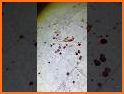 Lost places nearby related image