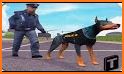 Police Dog Simulator 3D related image