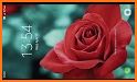 Red rose live wallpaper related image