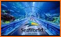 VR Guide: SeaWorld Orlando related image