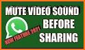 Mute Video, Silent Video related image