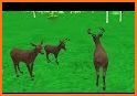 Deeeer Simulator 3D Game - Deer Tips related image