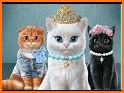 Cool Cats: Match 3 Quest - New Puzzle Game related image