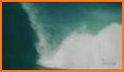 TheSurfNetwork related image