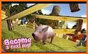 Virtual Pig Simulator related image