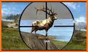 Tiger hunting 2019 : Deer Hunter 19 related image