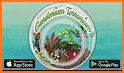 Gardenium Terrarium related image