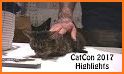 CatCon related image