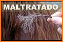 Tratamientos naturales para el cabello related image