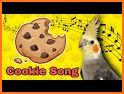 Cookie Birds related image