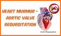 Auscultation ( Heart & Lung Sounds) related image