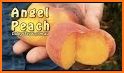 Chinese Peach related image