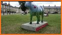 Cows About Cambridge 2021 related image