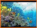 VR Coral Reef Underwater Scuba Diving related image