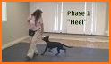 Puppy Training - Puppy Perfect Pro related image