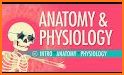 Anatomy and Physiology For Nurses related image