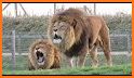 Wild Animal Sounds For Kids - Animals Ringtones related image