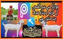 Eid AL Adha Photo Frame related image