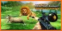 Wild Animals Hunting Safari Shooting Game related image