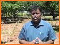 Mango Cultivation Method related image