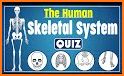 Human Anatomy Learning - Quiz related image