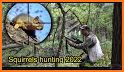 Squirrel hunting calls related image