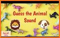 Guess the animal name, Learning the animal related image