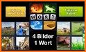 4 Bilder 1 Wort related image