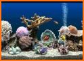 3D marine aquarium related image