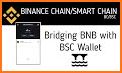 Binance: Smart Chain Wallet related image