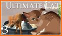 Ultimate Cat Simulator related image