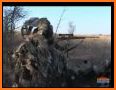 Snows & Crows Pro related image