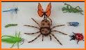 Insect Crush | Bug Smasher 2020 related image