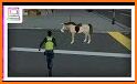 Horse Riding Simulator:Horse Cowboy Simulator Game related image