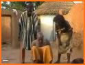 MPAMA related image