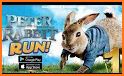 Peter Rabbit Endless Runner related image