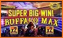 Buffalo Bonus Casino Free Slot related image