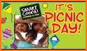 Picnic Day related image