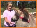 Forest Donkey Rescue related image