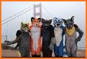 Furry Roads related image