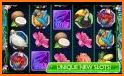 Casino Frenzy - Free Slots related image