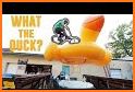 BMX Challenge related image