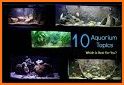 Aquarium Fish Launcher Theme related image