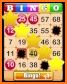 Bingo Vingo - Bingo & Slots! related image