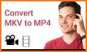 Video Converter - All Formats (MP4 AVI MOV MKV) related image