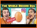 WORLD RECORD EGG related image