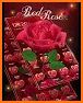 Red Rose Flowers Theme related image