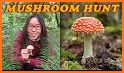 Washington SW Mushroom Forager related image