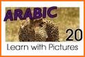 Arabigo: Learn Arabic related image