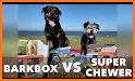 BARK - BarkBox, Super Chewer & Bright related image